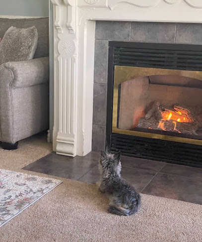 American Climate Air Duct Services NY