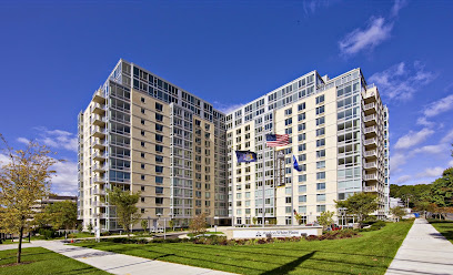 The Altos White Plains