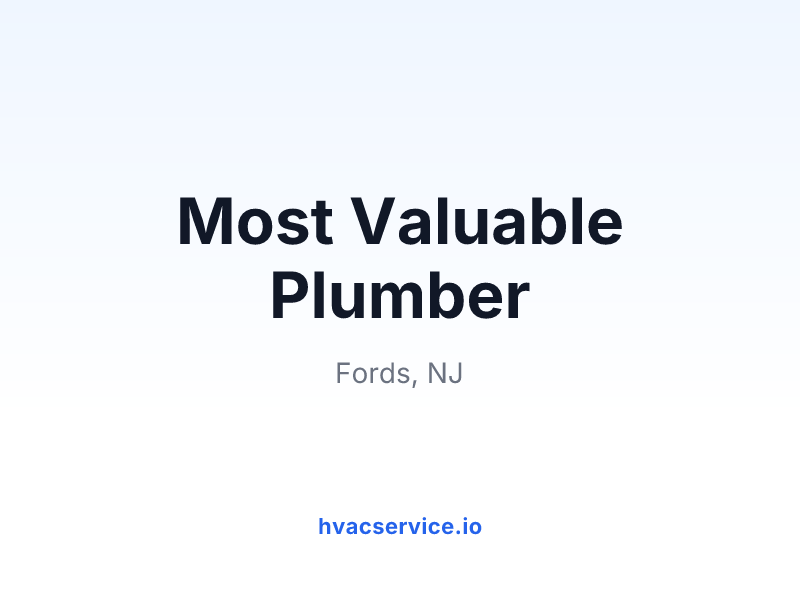 Most Valuable Plumber