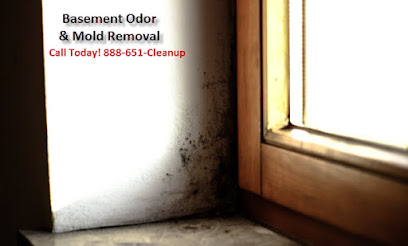 Mold and Air Solutions