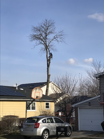 Tom Pankok & Sons LLC
