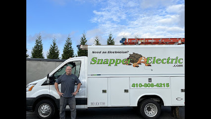 Snapper Electric