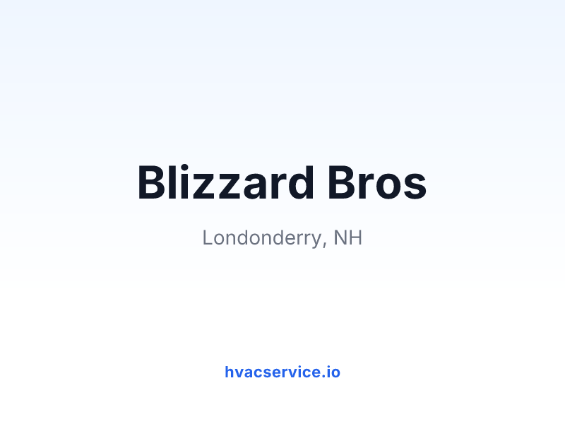 Blizzard Bros