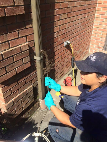 Anne the Plumber