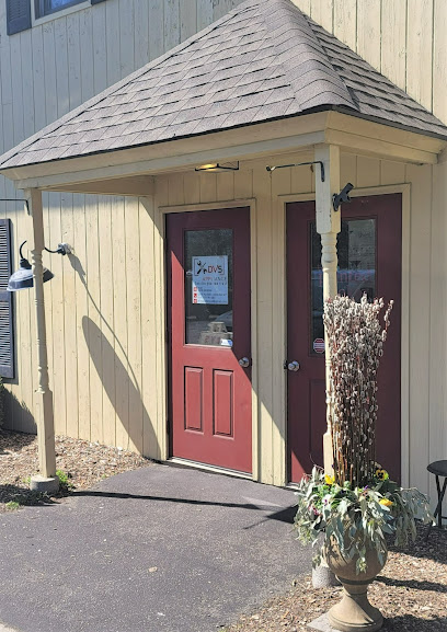 DVS APPLIANCE LLC