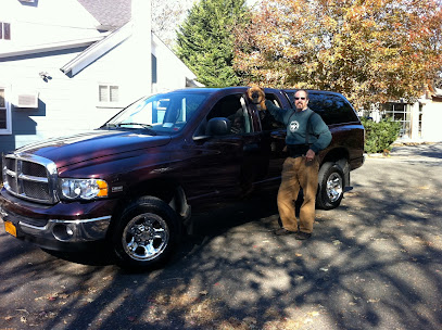 Hampton Delivery Services
