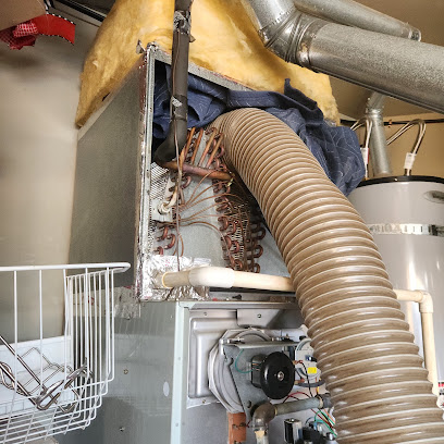 Dirty Duct Guys LLC